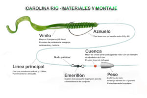 Carolina Rig Diagrama