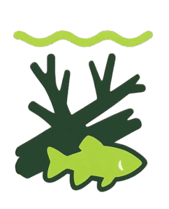 Orillas Cubiertas Con Sombras