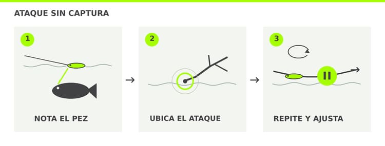 Que hacer cuando tenemos un ataque sin captura